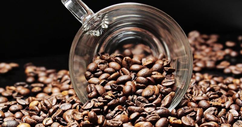 La caféine : un outil de dosage, pas une solution universelle