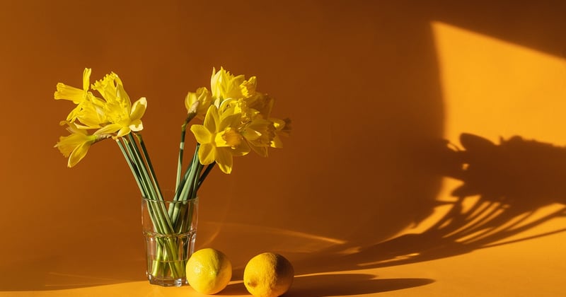 10 recettes de cocktails pour soirée poker à la maison qui bluffent vos invités
